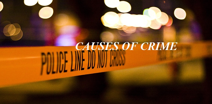 Causes of Crime - Law Times Journal